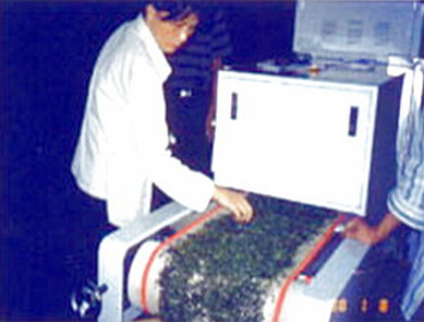 微波茶葉快速殺青干燥設備