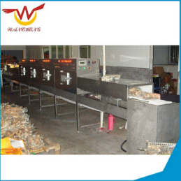 我們談談微波殺菌設備的本身